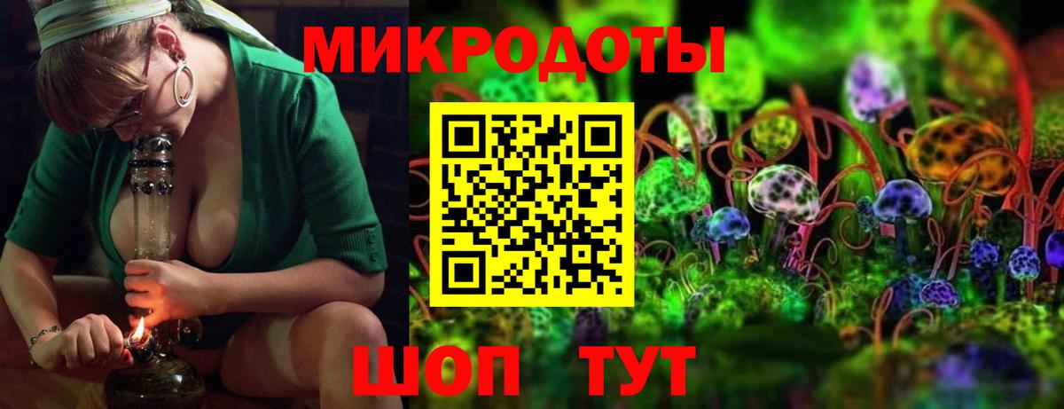 Галлюциногенные грибы Psilocybe  Вход с VPN  Кировск 